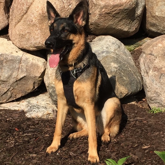 Thank you for stopping by...👀 - Picture 3 of 7